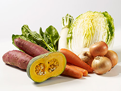 【水曜お届け】ようこさんの小さな畑の野菜セット写真２