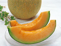 おうちで堪能 小野寺さんのクインシーメロン 1箱 4 5玉 有機野菜などのお取り寄せやギフト通販は大地を守る会の お取り寄せひろば