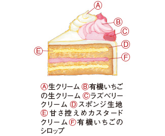 苺の生クリーム＆カスタードのケーキ写真２
